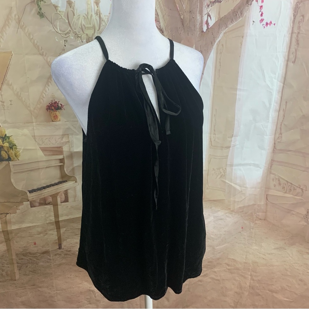 Velvet by Graham & Spencer ALEAHA SILK VELVET HALTER TOP - Picture 7 of 13